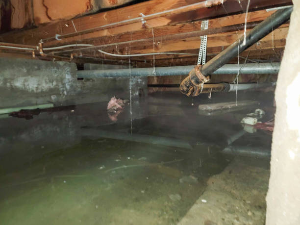 Best Water damage mitigation services  in Katonah, NY