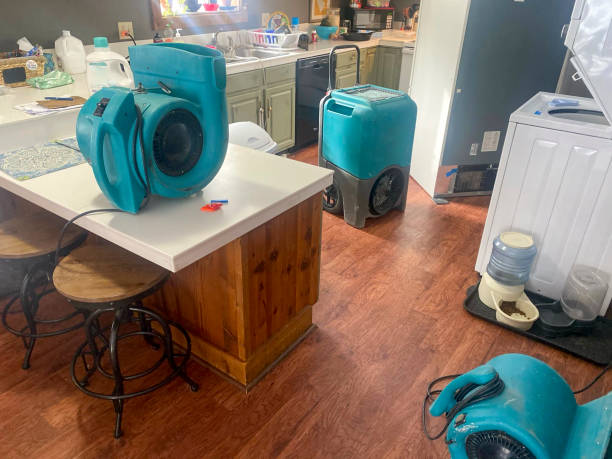 Carpet water damage restoration in Katonah, NY