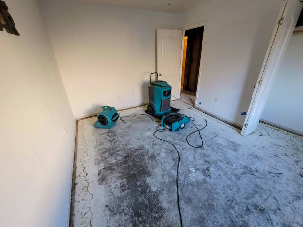 Best Water damage repair service  in Katonah, NY