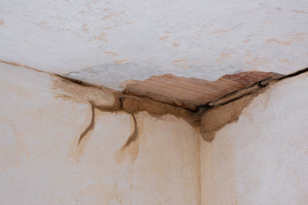 Best Ceiling water damage repair  in Katonah, NY