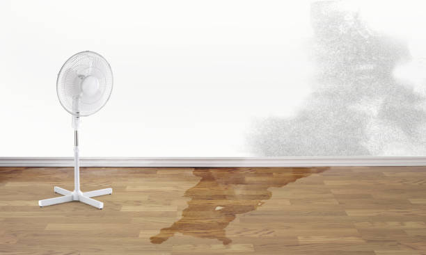 Best Commercial water damage restoration  in Katonah, NY