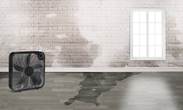 Best Water damage restoration near me  in Katonah, NY