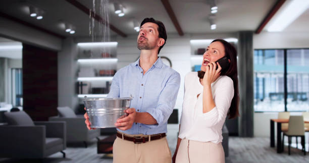 Best Carpet water damage restoration  in Katonah, NY