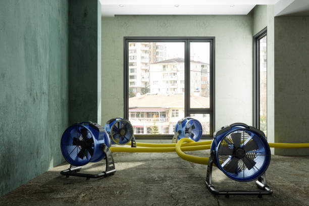 Best Flood restoration services  in Katonah, NY